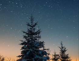Die Heilige nacht Winterwald