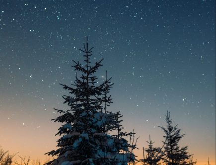 Die Heilige nacht Winterwald