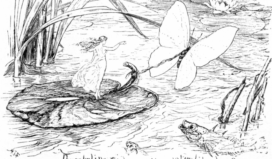 Däumlingsmärchen: Däumelinchen von H.C. Andersen