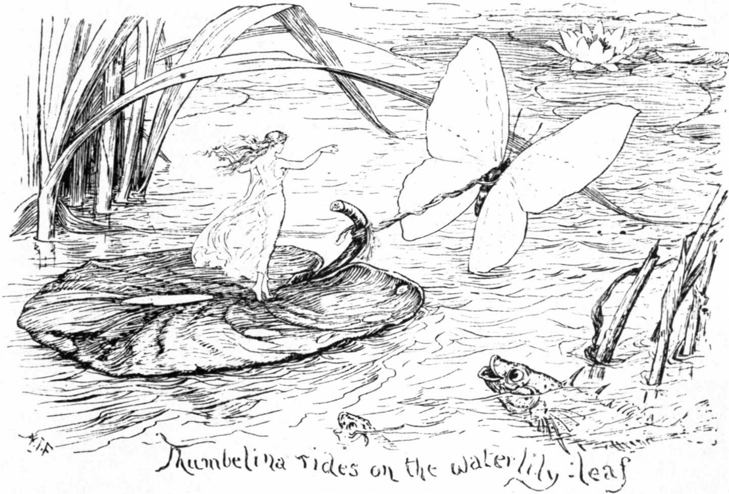 Däumlingsmärchen: Däumelinchen von H.C. Andersen