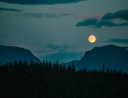 Romantik-Motive Mond über nächtlichem Wald