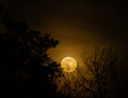 Mond in der Romantik