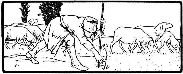 Der Liebste Roland: Schäfer pflückt Blümchen