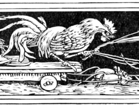 Vom TOdes des Hühnchens